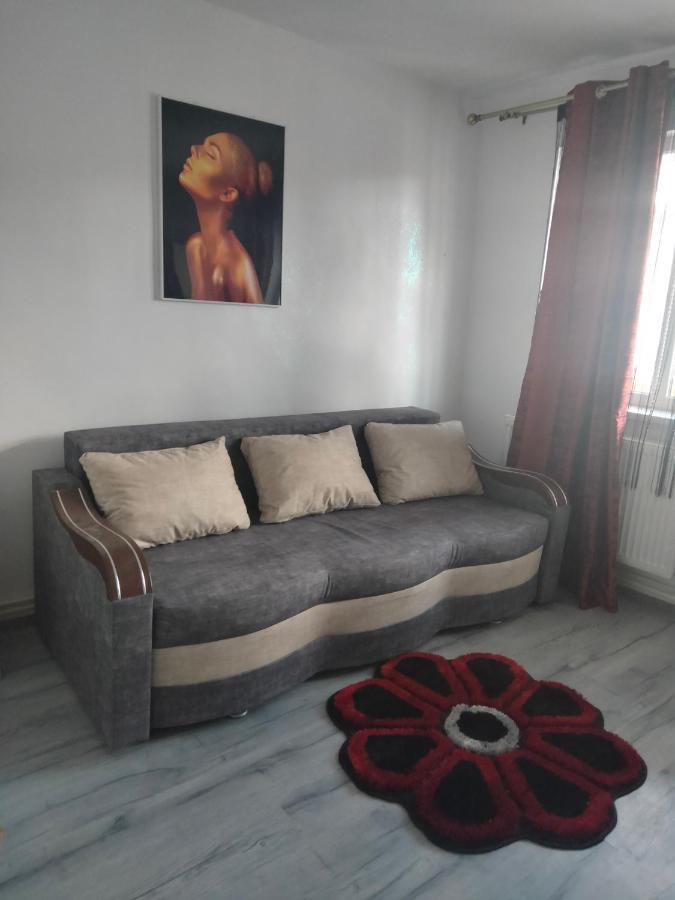 Apartament Geo Nehoiu Ngoại thất bức ảnh