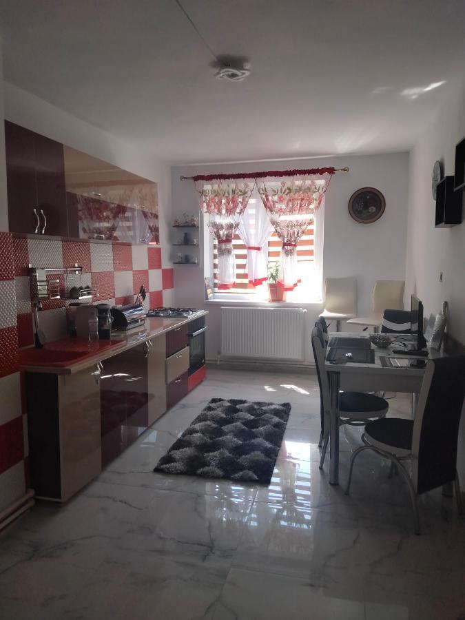 Apartament Geo Nehoiu Ngoại thất bức ảnh