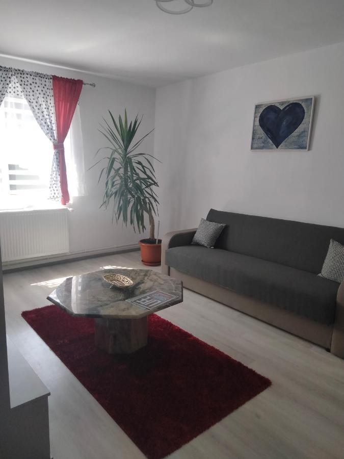 Apartament Geo Nehoiu Ngoại thất bức ảnh