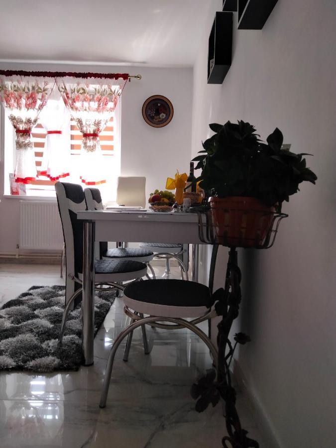 Apartament Geo Nehoiu Ngoại thất bức ảnh